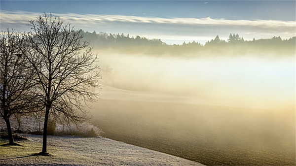 我自信，我成功作文10篇